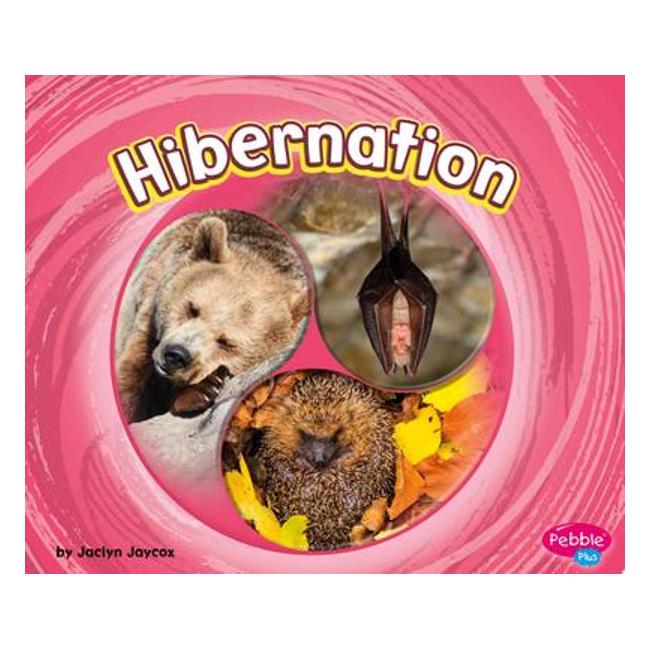 Hibernation (Cycles Of Nature) - Jaclyn Jaycox