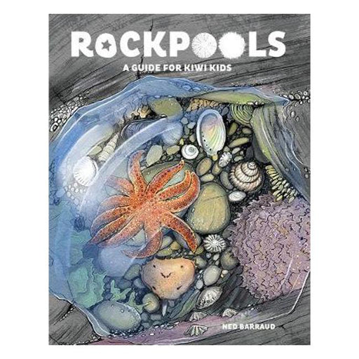 Rock Pools: A Guide for Kiwi Kids-Marston Moor
