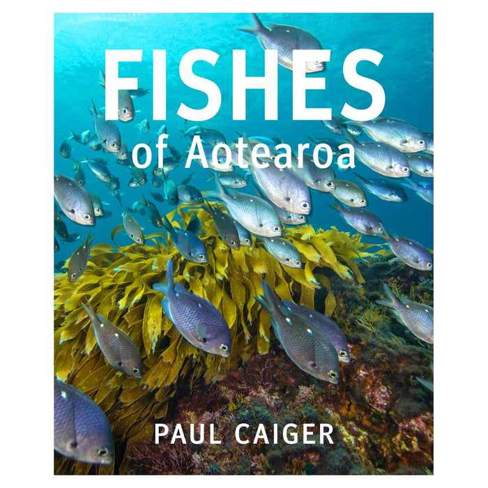 Fishes of Aotearoa New Zealand
