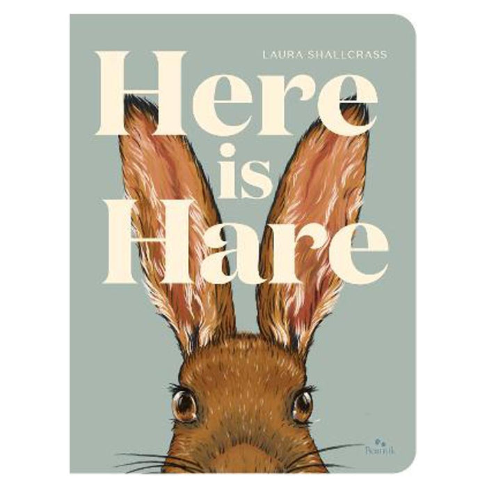Here Is Hare | Laura Shallcrass