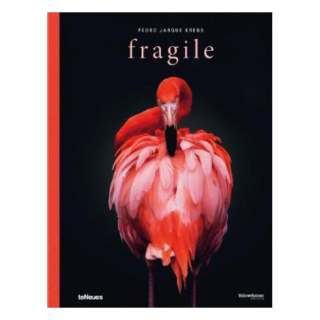 Fragile - Pedro Jarque Krebs