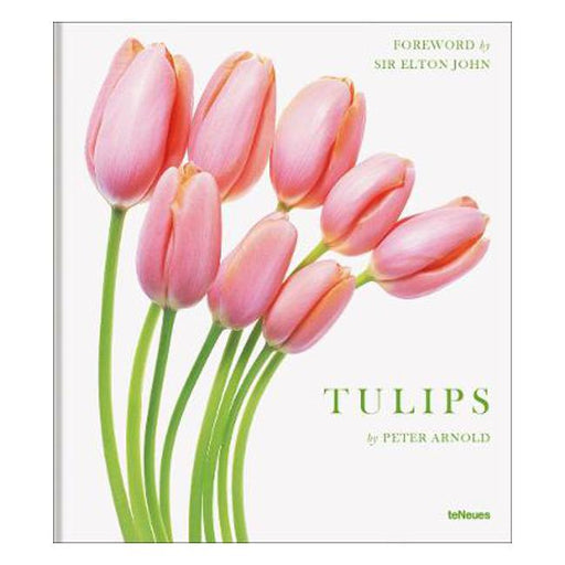 Tulips-Marston Moor