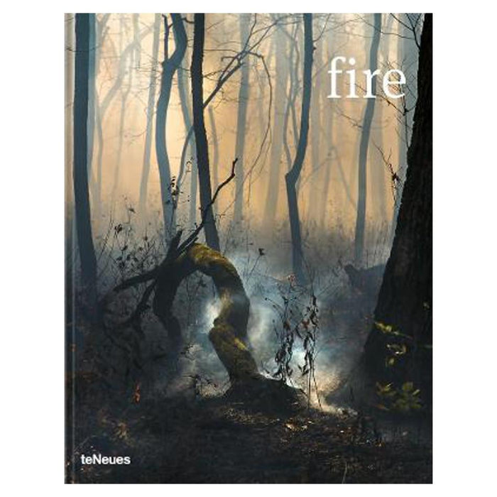 Fire | Prix Pictet