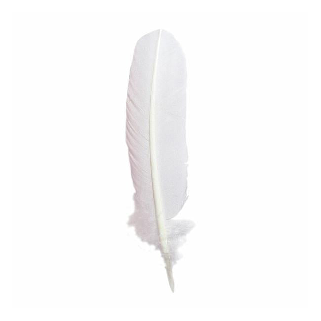 Herbin Goose Quill 28cm White
