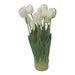 Rembrandt White Tulip Arrangement - 9 Head IV3003-Marston Moor