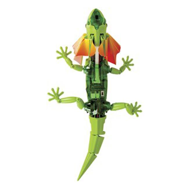 Frilled Lizard Robot Kit With Ir Sensor