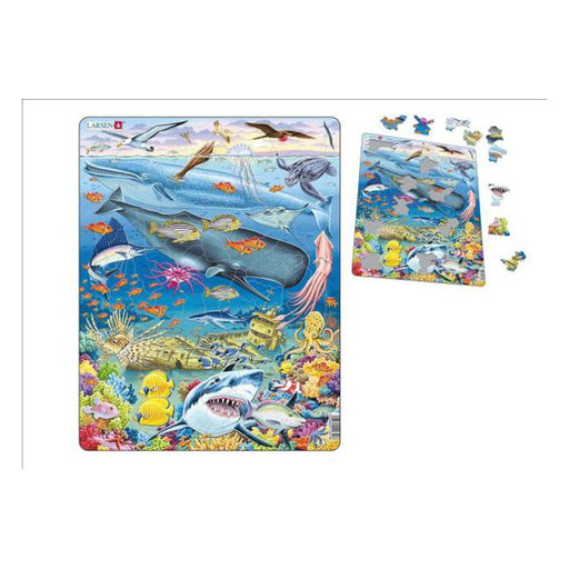 South Pacific Marinelife Puzzle L11641-Marston Moor