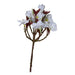 Rembrandt Plumeria Spray (Frangipani) / White PG1001-Marston Moor