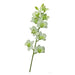 Rembrandt Dendrobium Spray  (Orchid) / Light Green PG1002-Marston Moor