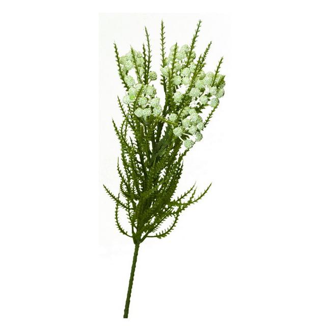 Rembrandt Achillea Spray (Milfoil) / Green/Cream PG1004-Marston Moor