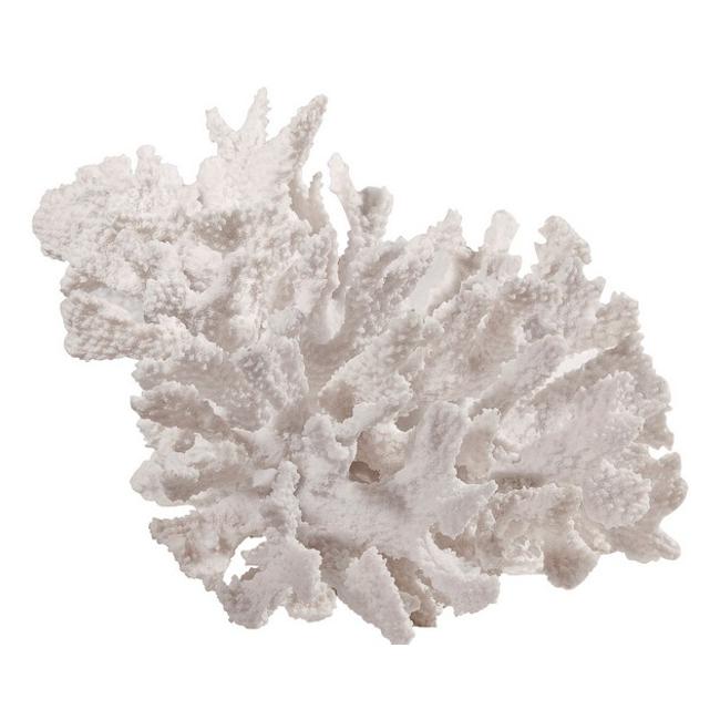 Rembrandt Coral Display SE2111-Marston Moor