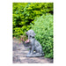 Rembrandt Dog Planter SE2292-Marston Moor