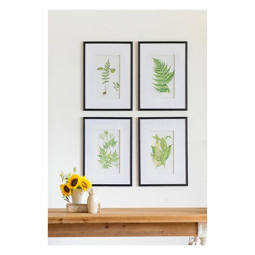 Rembrandt Collection of Fern Prints SE2318-Marston Moor
