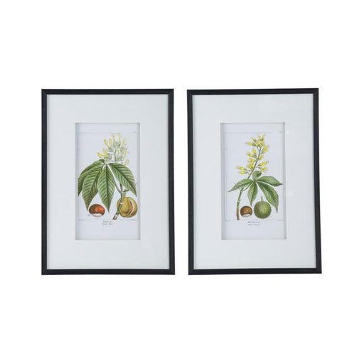 Rembrandt Botanical Wall Art SE2346-Marston Moor