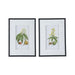 Rembrandt Botanical Wall Art SE2346-Marston Moor