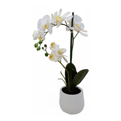 Rembrandt Real Touch Orchid 2 Spray - White YI1002-Marston Moor