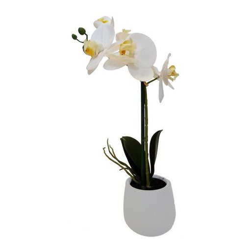 Rembrandt Real Touch Orchid 1 Spray - White YI1003-Marston Moor