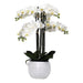 Rembrandt Real Touch Orchid 5 Spray - White with Stone Pot YI1007-Marston Moor