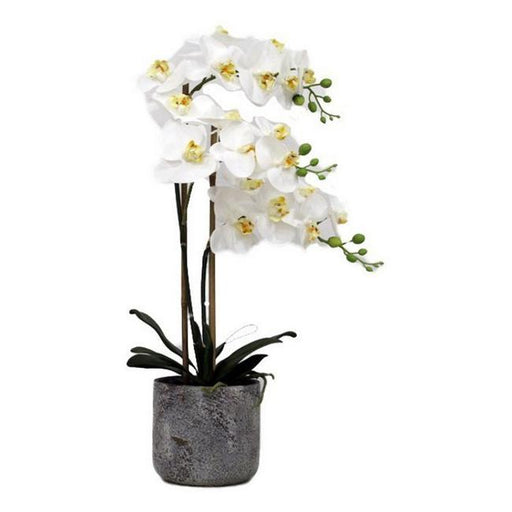 Rembrandt Real Touch Orchid 3 Spray - White with Stone Pot YI1008-Marston Moor