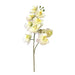 Rembrandt Real Touch Orchid 1 Spray Stem - Light Green YI1012-Marston Moor