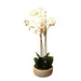 Rembrandt Real Touch Orchid 2 Spray - White With Caesarstone Pot YI1013-Marston Moor