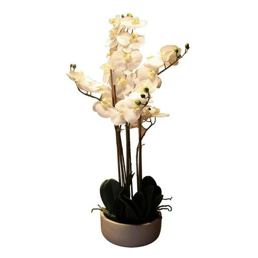 Rembrandt Real Touch Orchid 6 Spray - White With Caesarstone Pot YI1014-Marston Moor