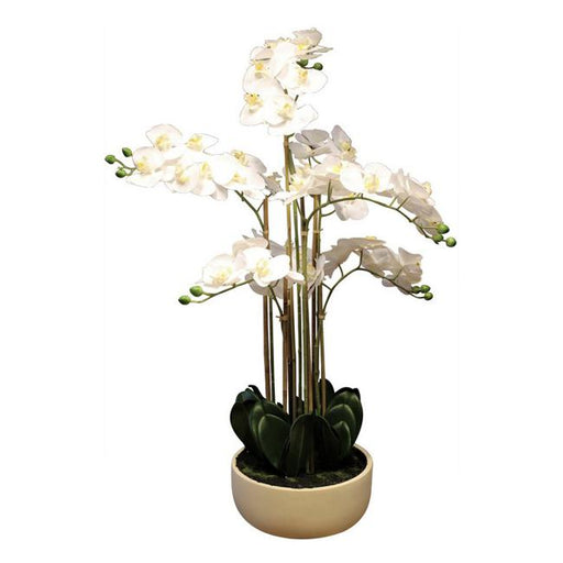 Rembrandt Real Touch Orchid 7 Spray - White With Caesarstone PotYI1015-Marston Moor
