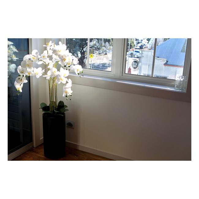 Rembrandt Real Touch Orchid 5 Spray - White With Tall Black Pot YI1016-Marston Moor