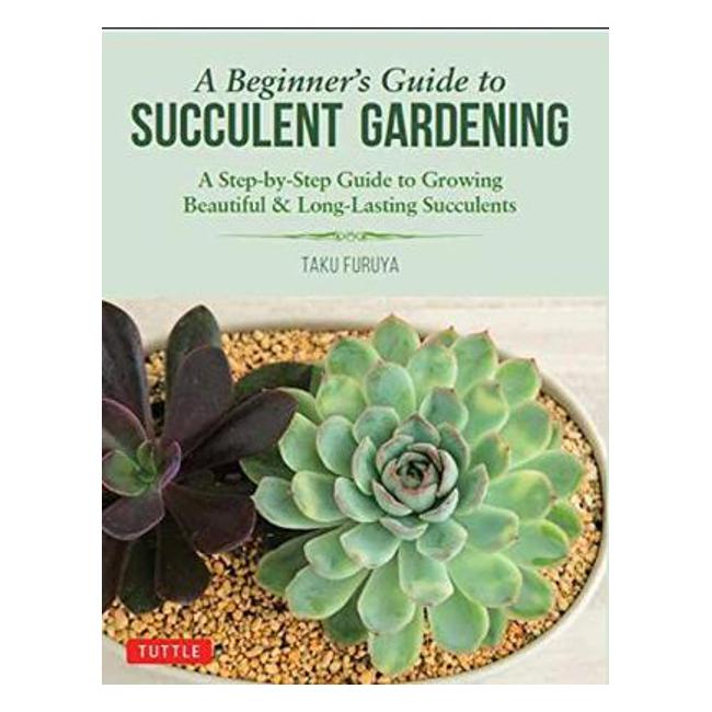 A Beginner's Guide to Succulent Gardening - Taku Furuya