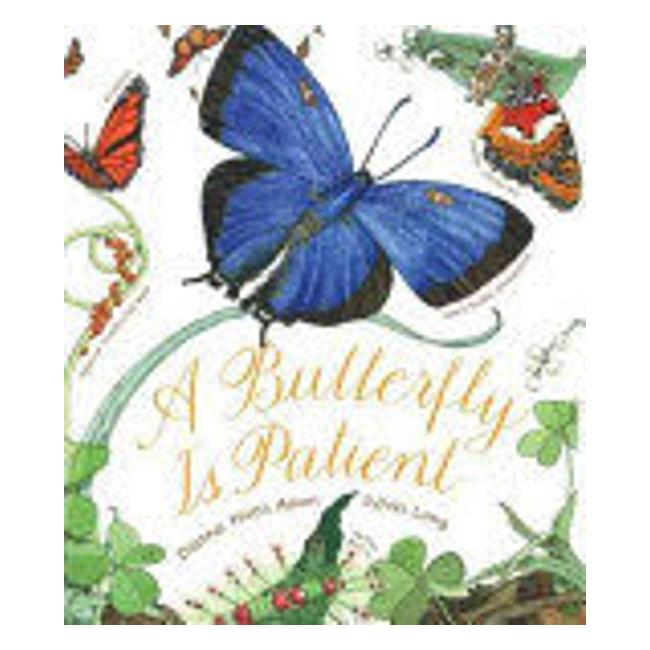 A Butterfly Is Patient - Dianna Hutts Aston; Sylvia Long (Illustrator)