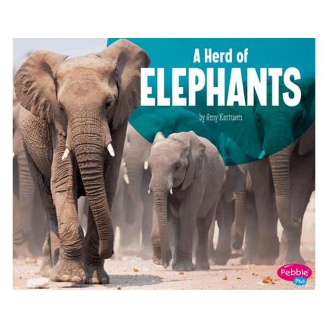 A Herd Of Elephants (Animal Groups) - Amy Kortuem