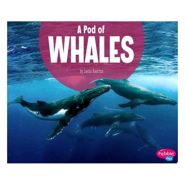 A Pod Of Whales (Animal Groups) - Lucia Tarbox Raatma