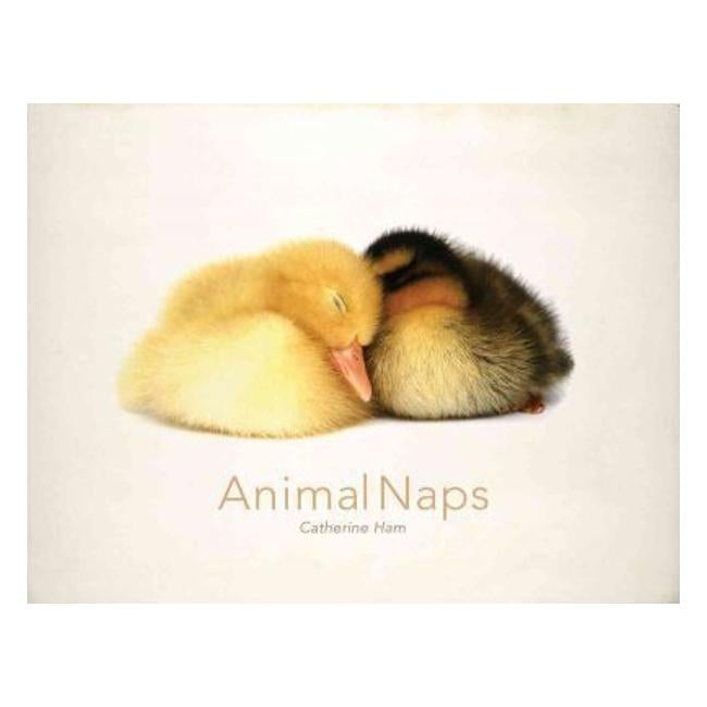 Animal Naps - Catherine Ham