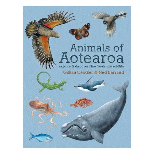 Animals of Aotearoa: Explore & discover New Zealand's wildlife - Gillian Candler