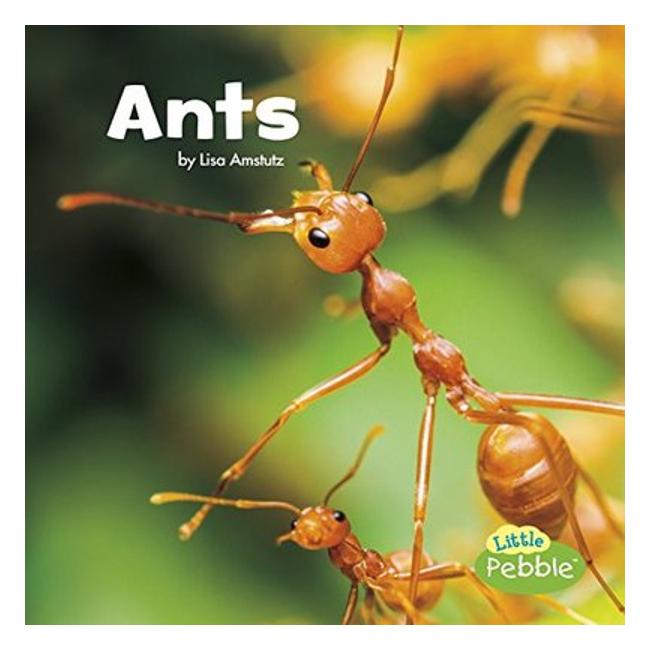 Ants (Little Critters)