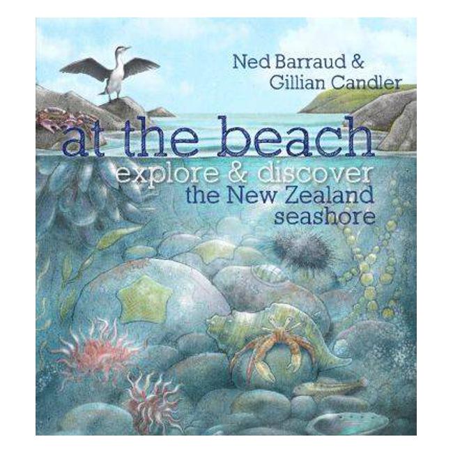 At the Beach: Explore & Discover the New Zealand Seashore - Ned Barraud