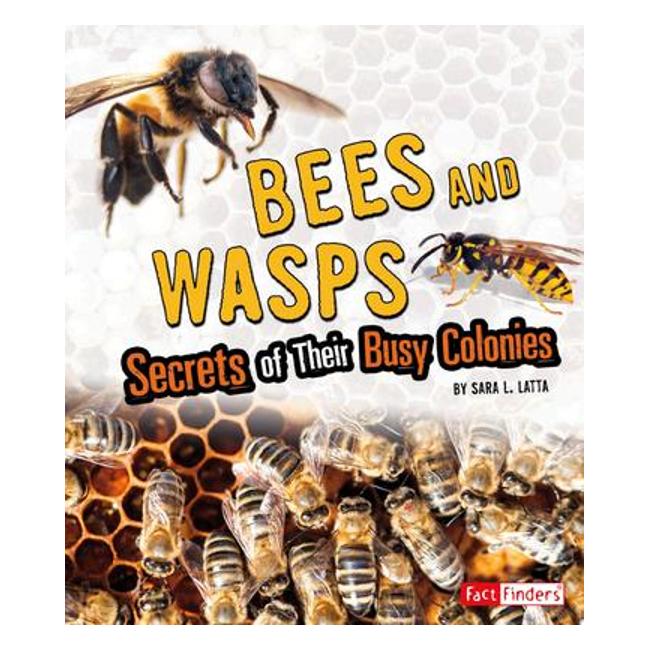 Bees And Wasps: Secrets Of Their Busy Colonies (Fact Finders) - Sara L. Latta