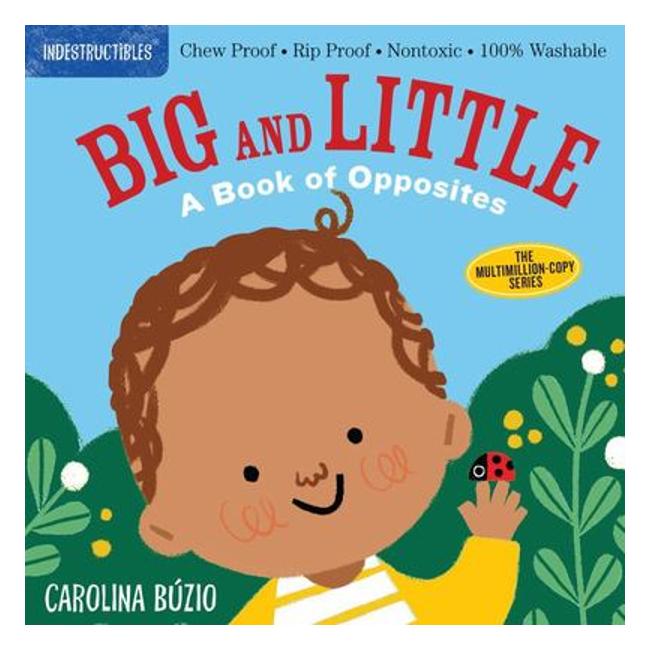 Big And Little (Indestructibles) - Amy Pixton