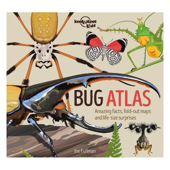 Bug Atlas - Lonely Planet Kids