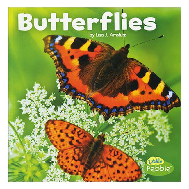 Butterflies (Little Critters)