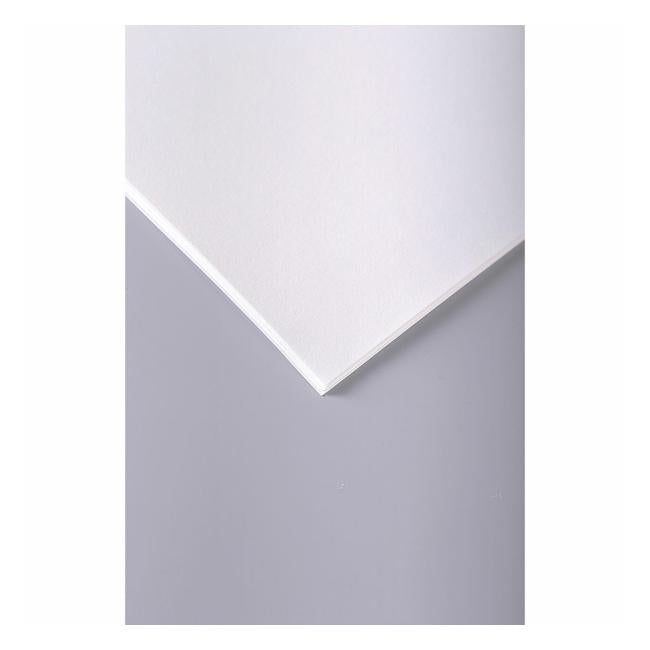 Clairefontaine Drawing Paper Grain 75x110cm 224g Pack of 10